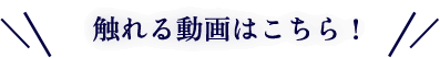 触れる動画はこちら!